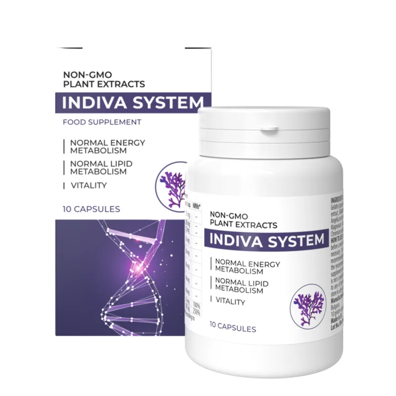 Indiva System - view 2